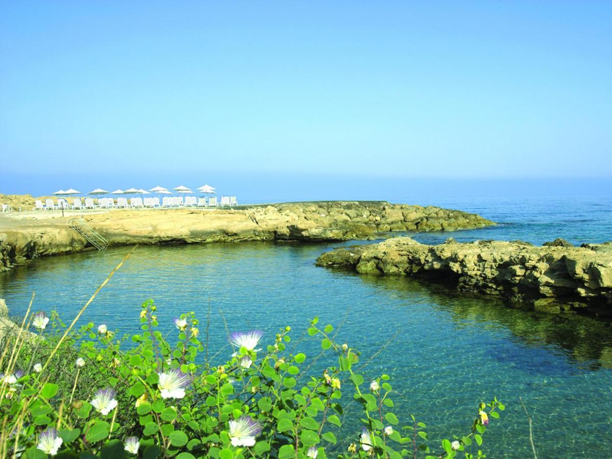 Cynthiana Beach Hotel Kissonerga Facilidades foto